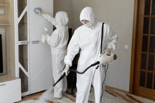 24/7 Emergency Odor Removal experts in Rosedale, WA